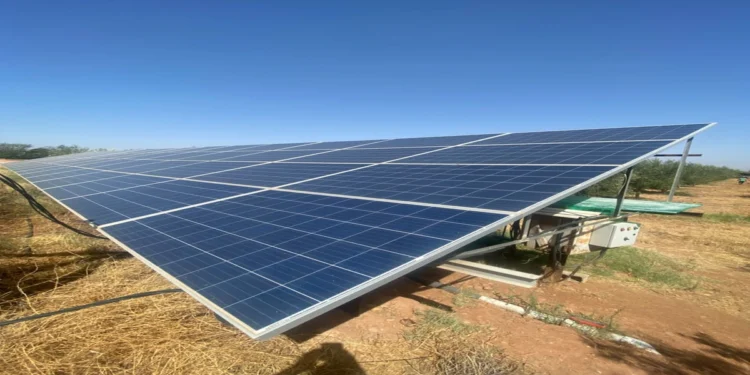 Ground-mounted solar panels installed on residential property in 2026